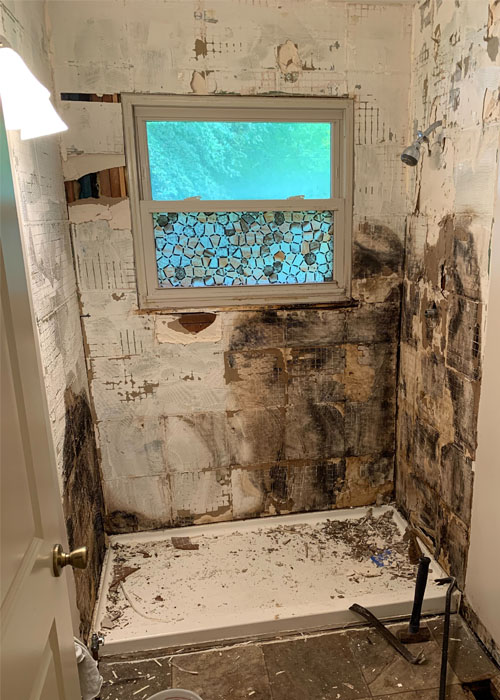Before image